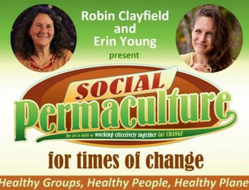 Social Permaculture For Times of Change